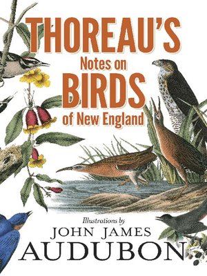 cover image of Thoreau's Notes on Birds of New England
